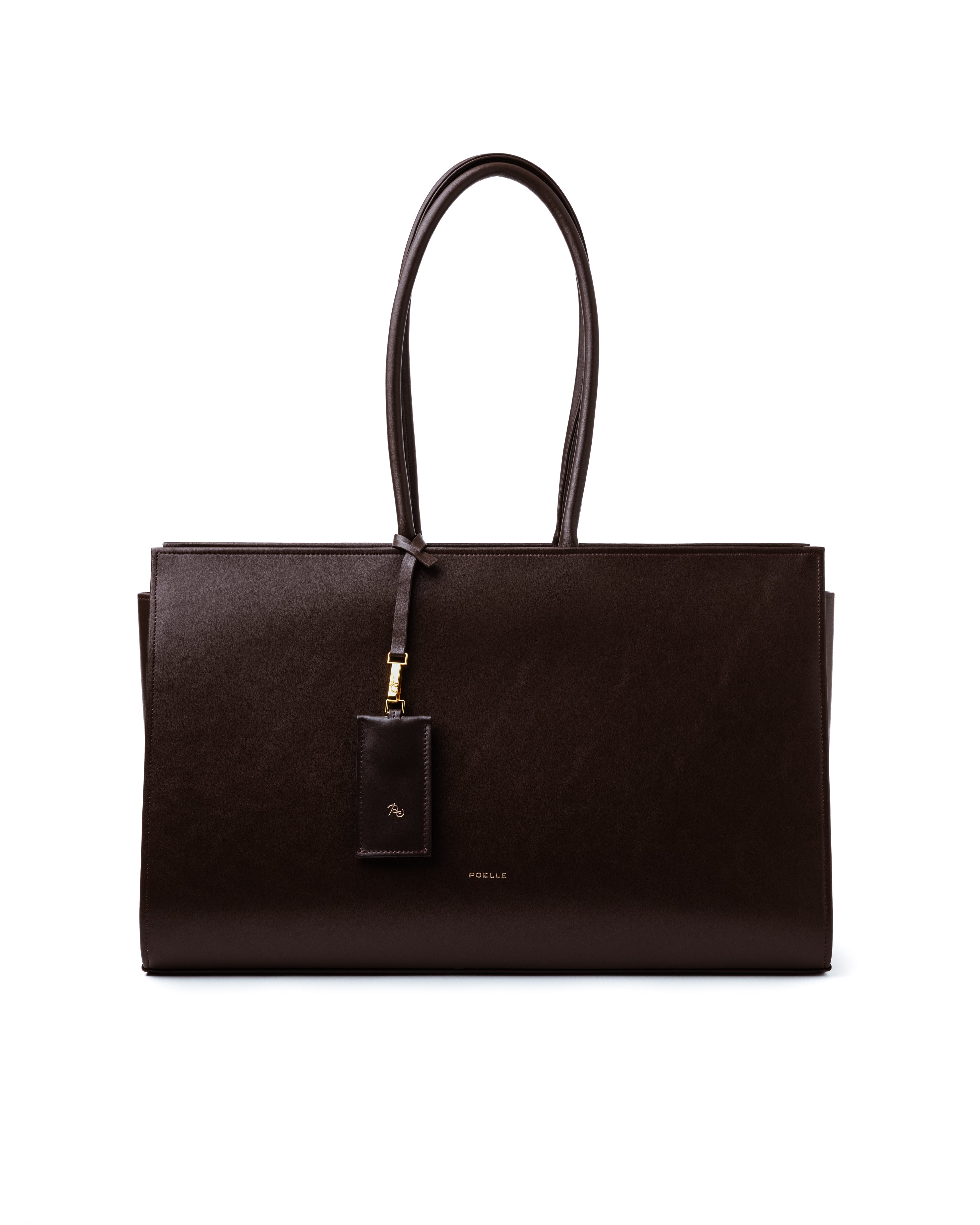 Large Carolyn Tote Bag in Brown